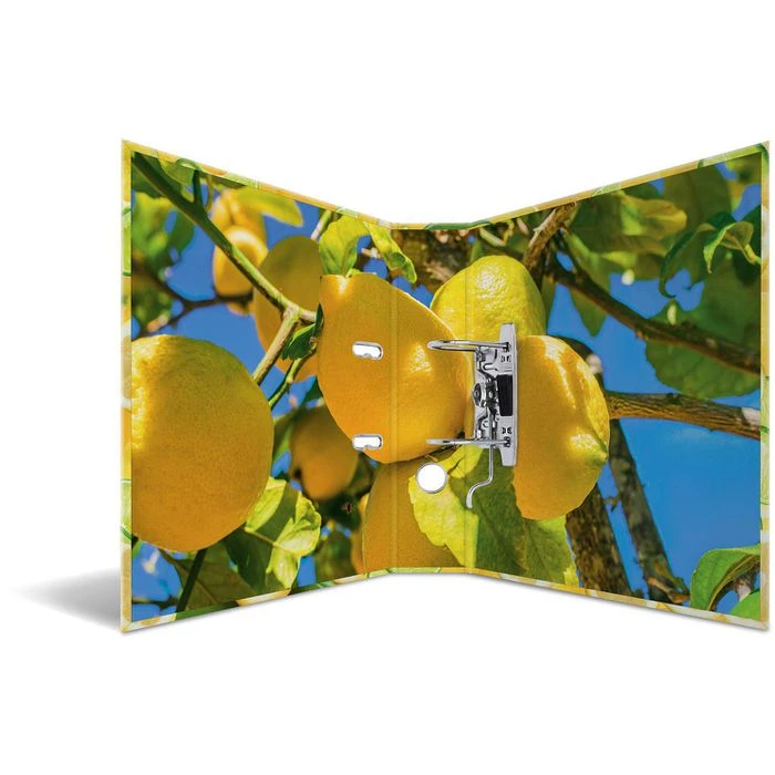 Herma Ordner 7114 Früchte, Karton, A4, 7cm, Motiv Zitrone – Bild 2